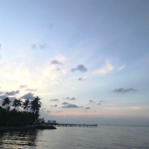 Meet your Posher, Donald